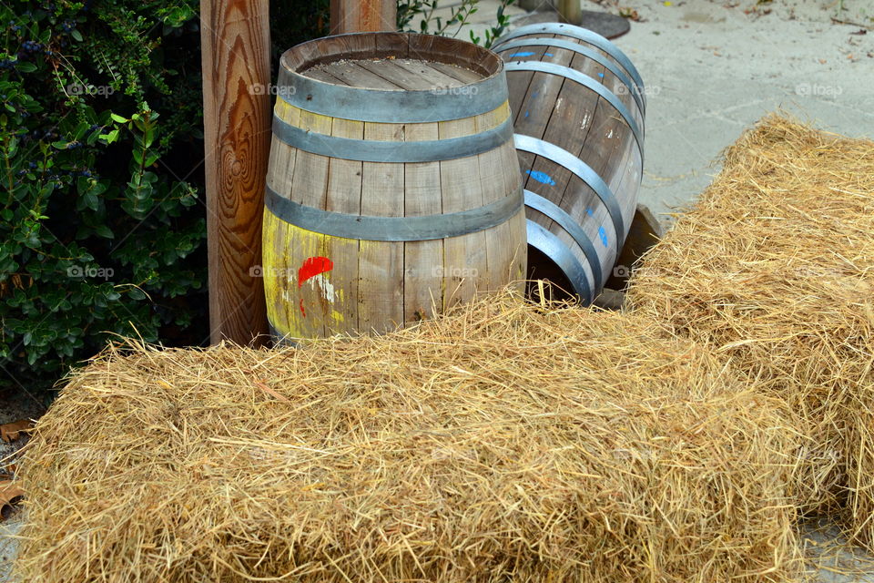 autumn, wine barrels