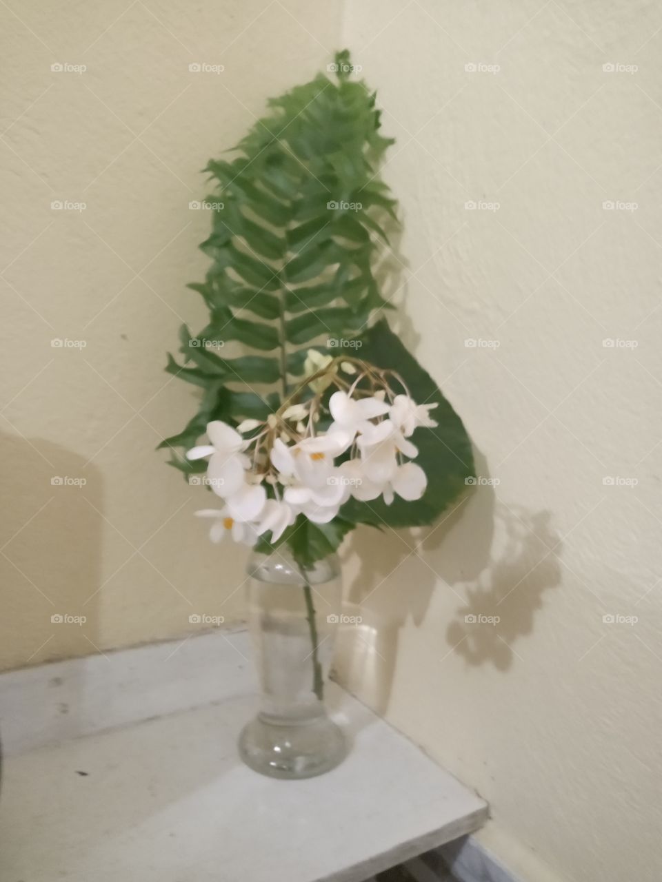 fern Inna vase