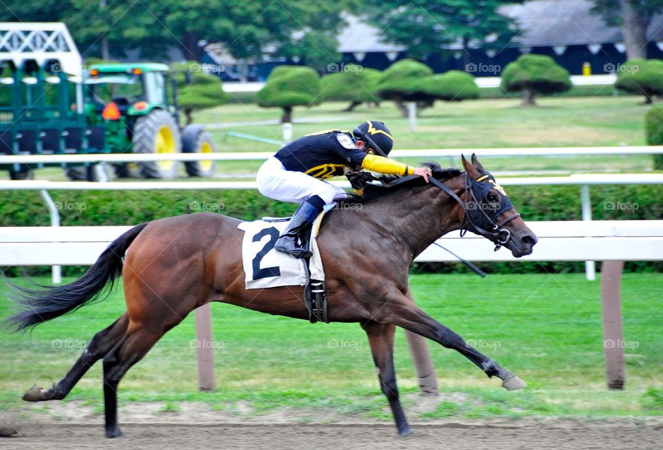 Lignite. The speedy 2 yr. old filly Lignite winning with Derby and Dubai winning jockey Joel Rosario. 
Fleetphoto