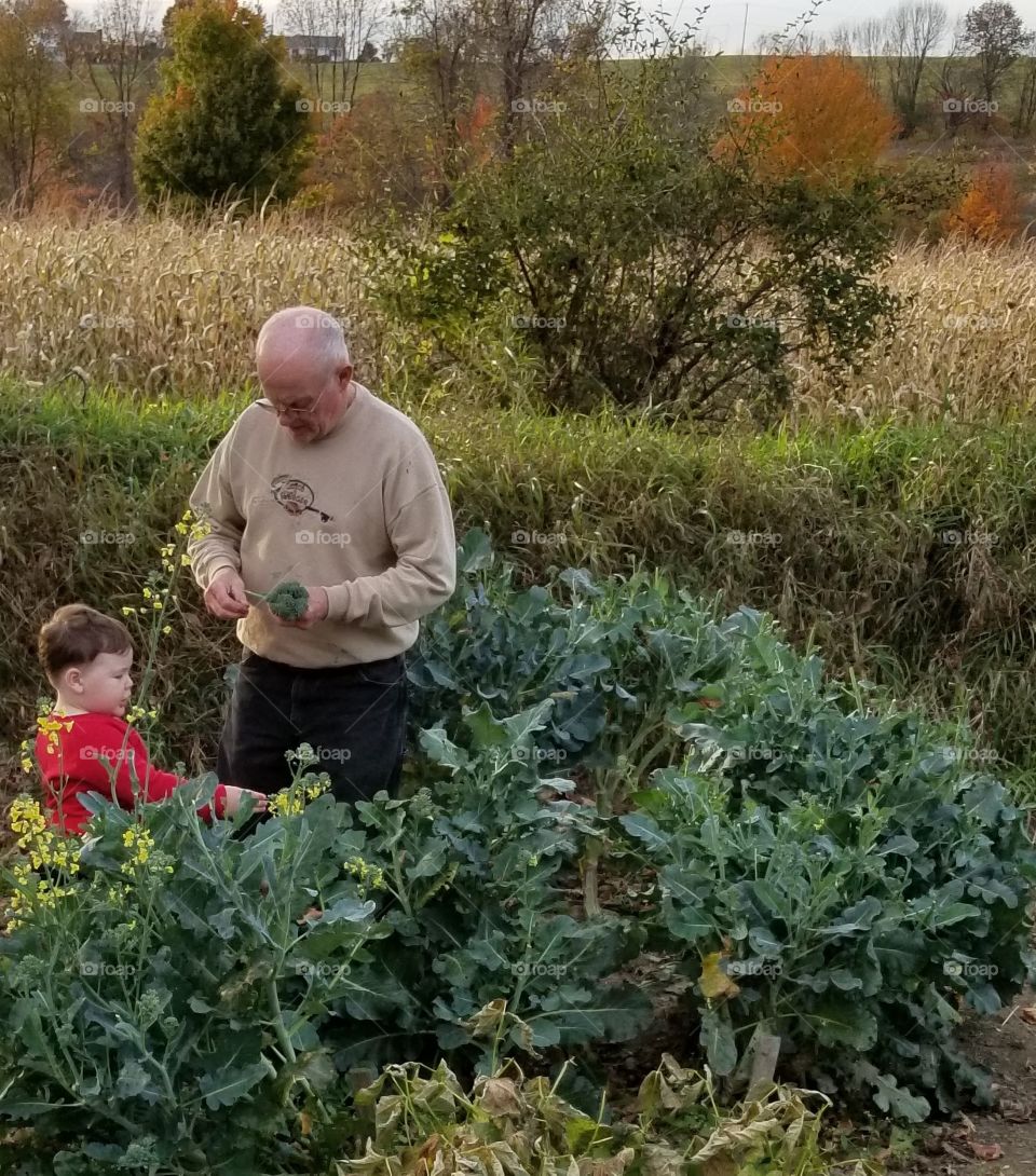 helping poppa