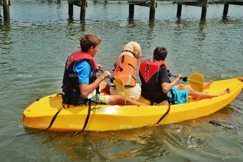 Dog kayaking