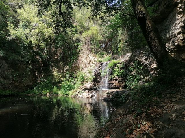 immersed in nature 🏞️
