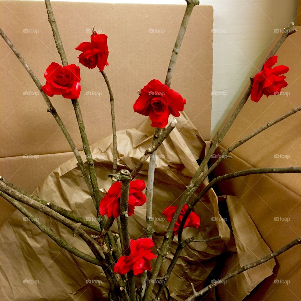 Roses in a box