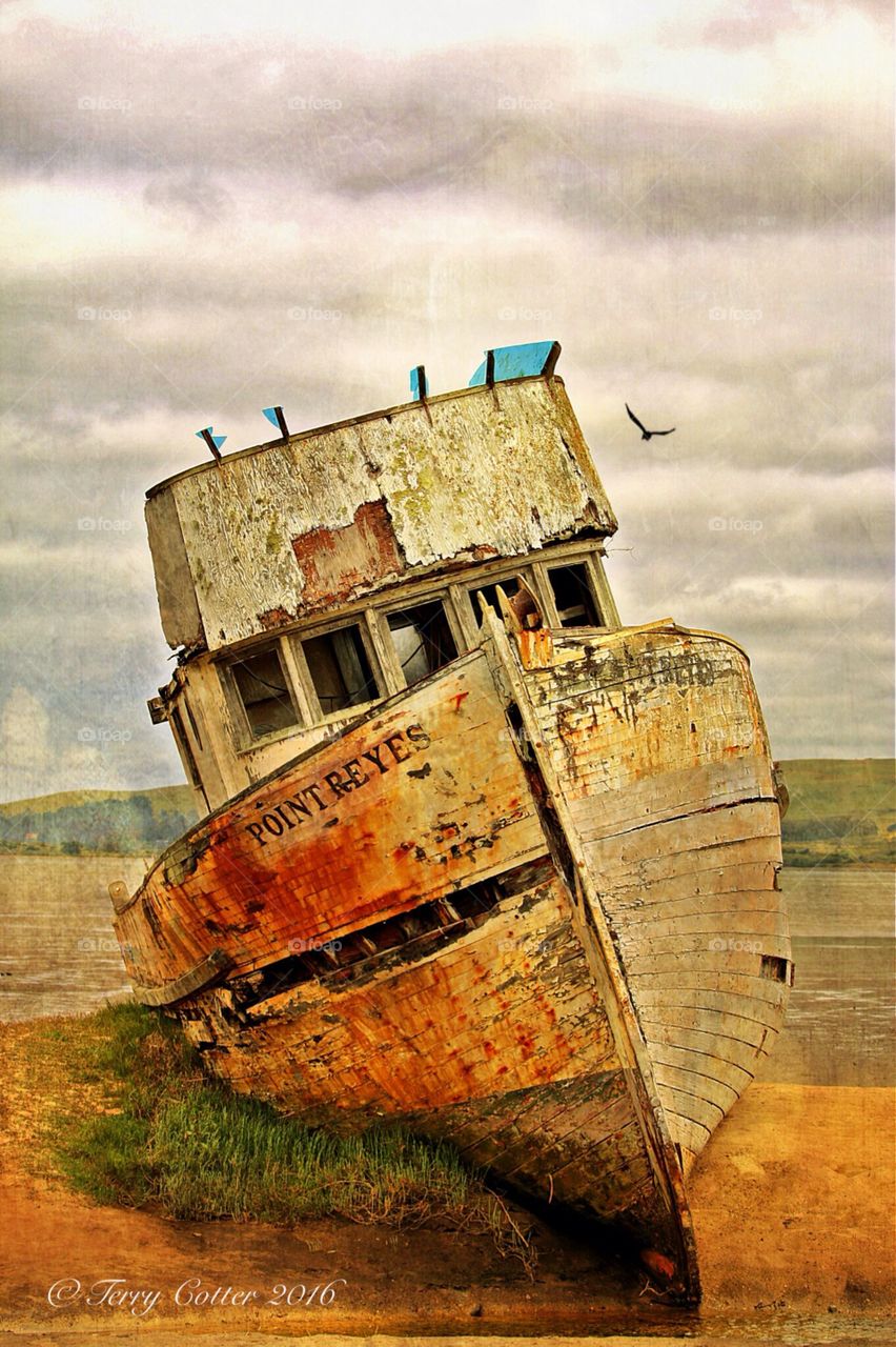 Point Reyes has a long and horrifying history of shipwrecks. Until the late 19th century, the Point Reyes Headlands was a burial ground for ships and mariners.