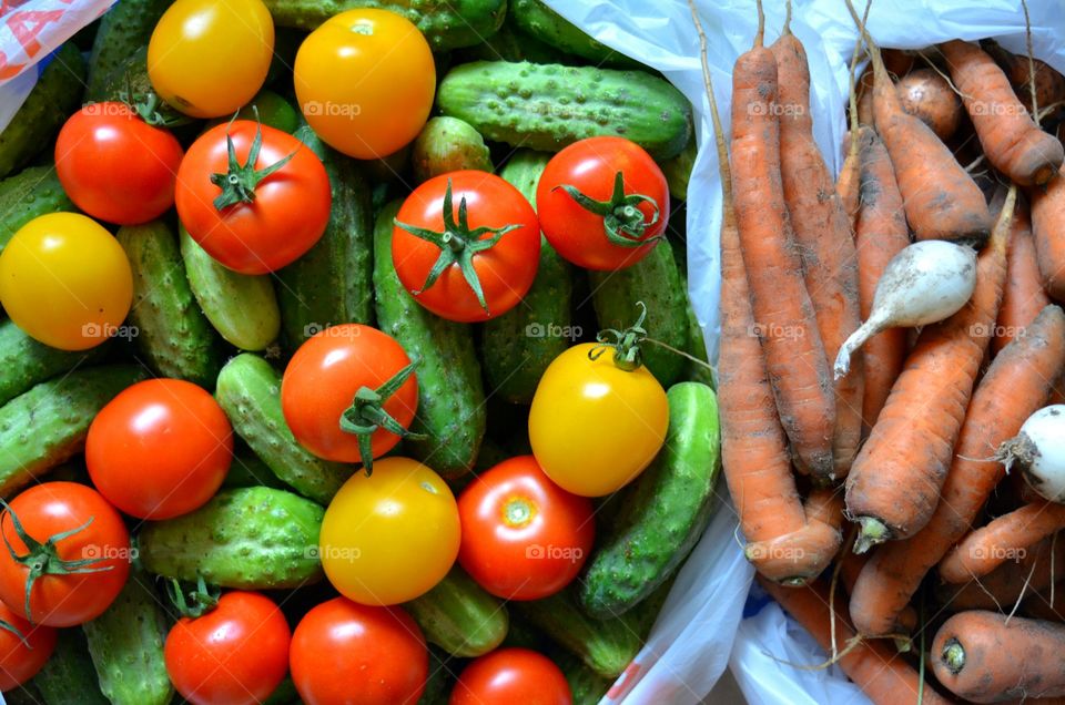 vegetables homemade harvest