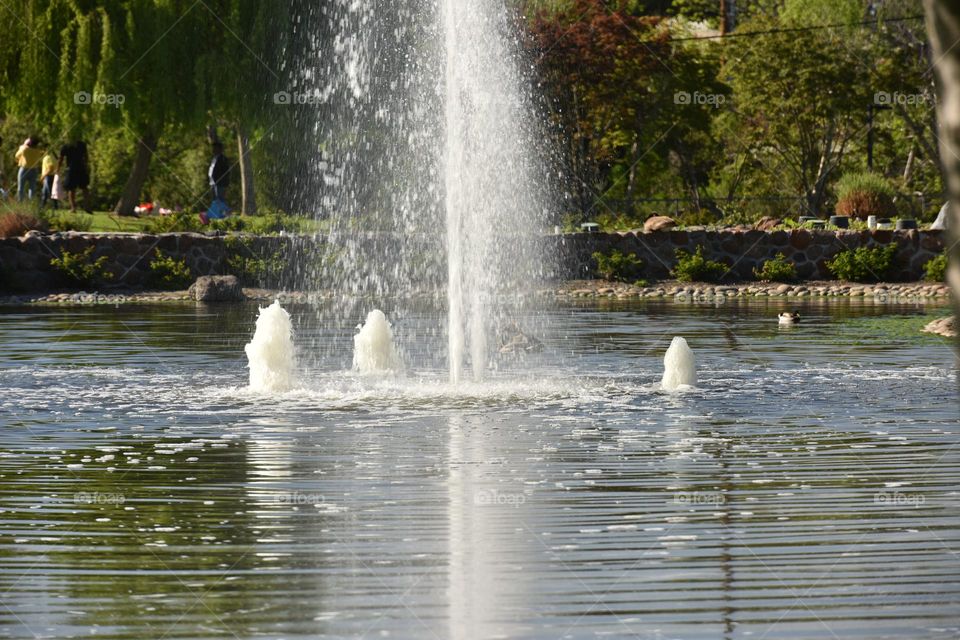 Gushing fountain in the park reduces traffic noise.