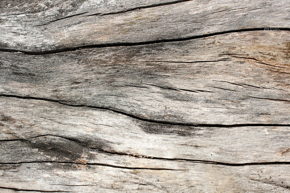 Dirty wooden background
