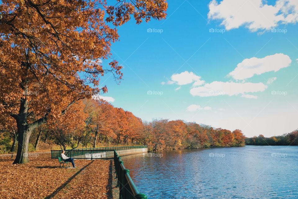 Person sitting on bench