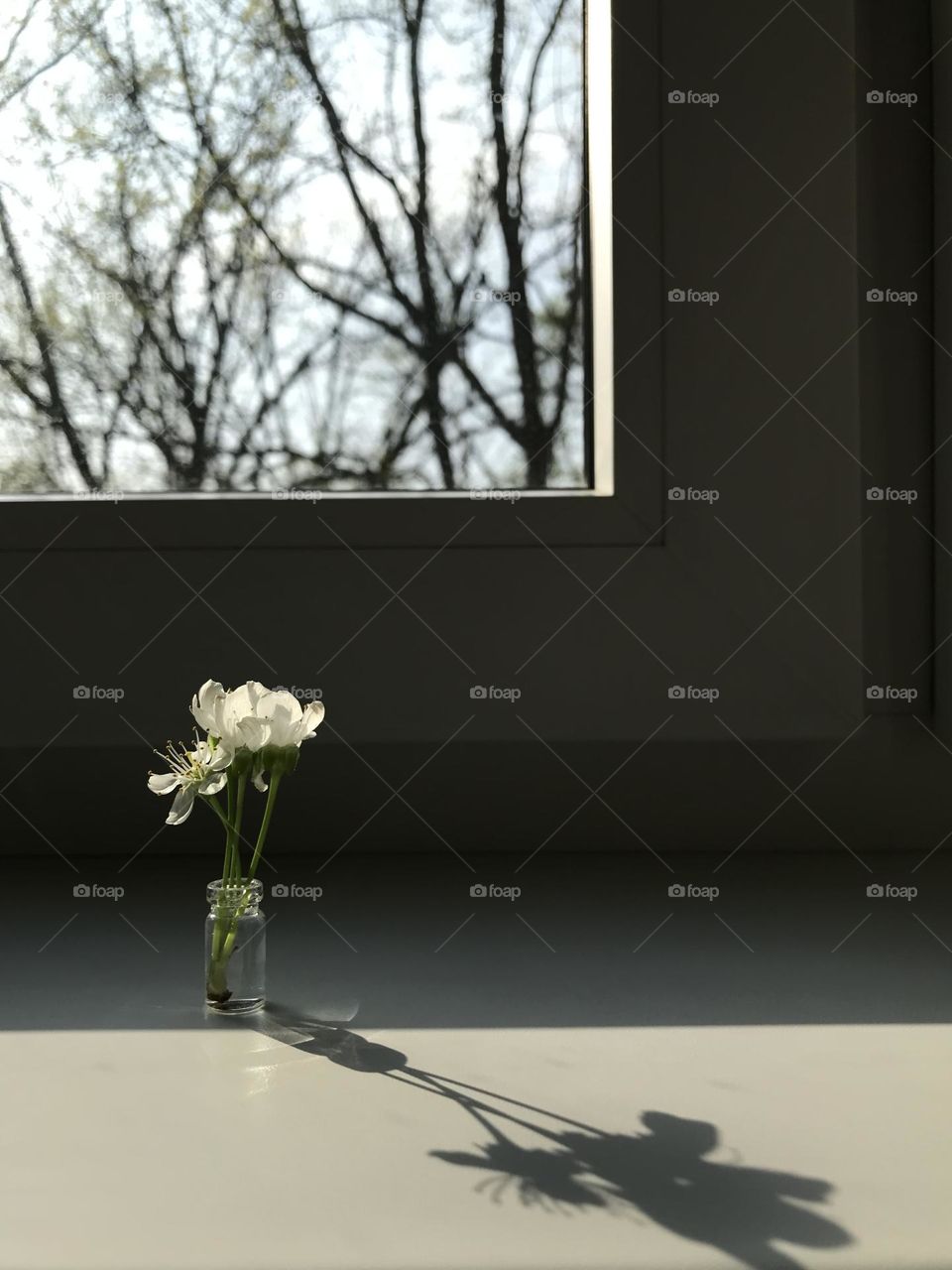 Apricot flowers in a micro vase