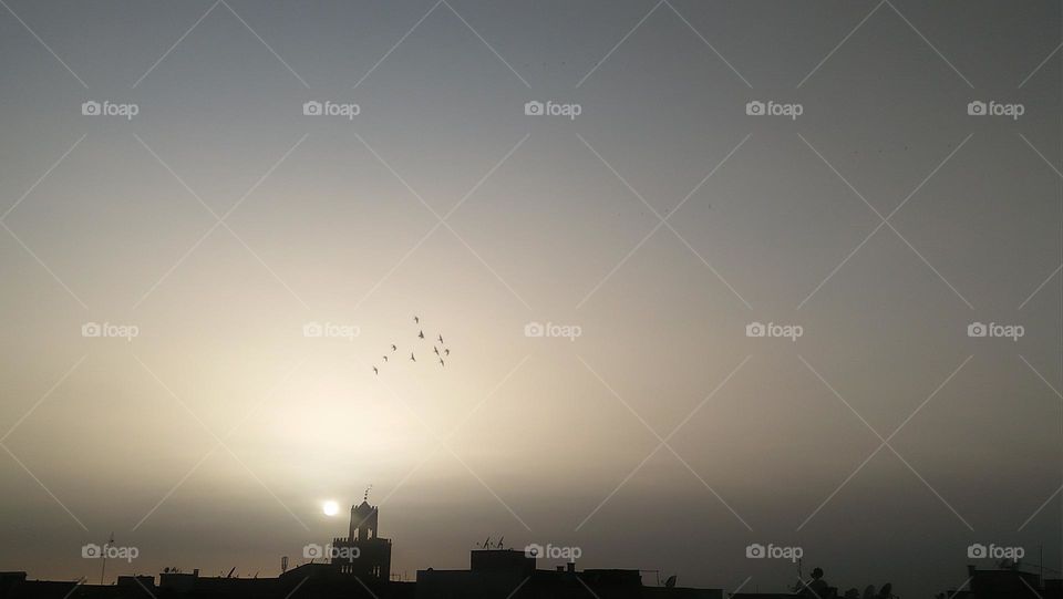 Behind the minaret  are flocks of pigeons flying in the sky depositing the sunset.