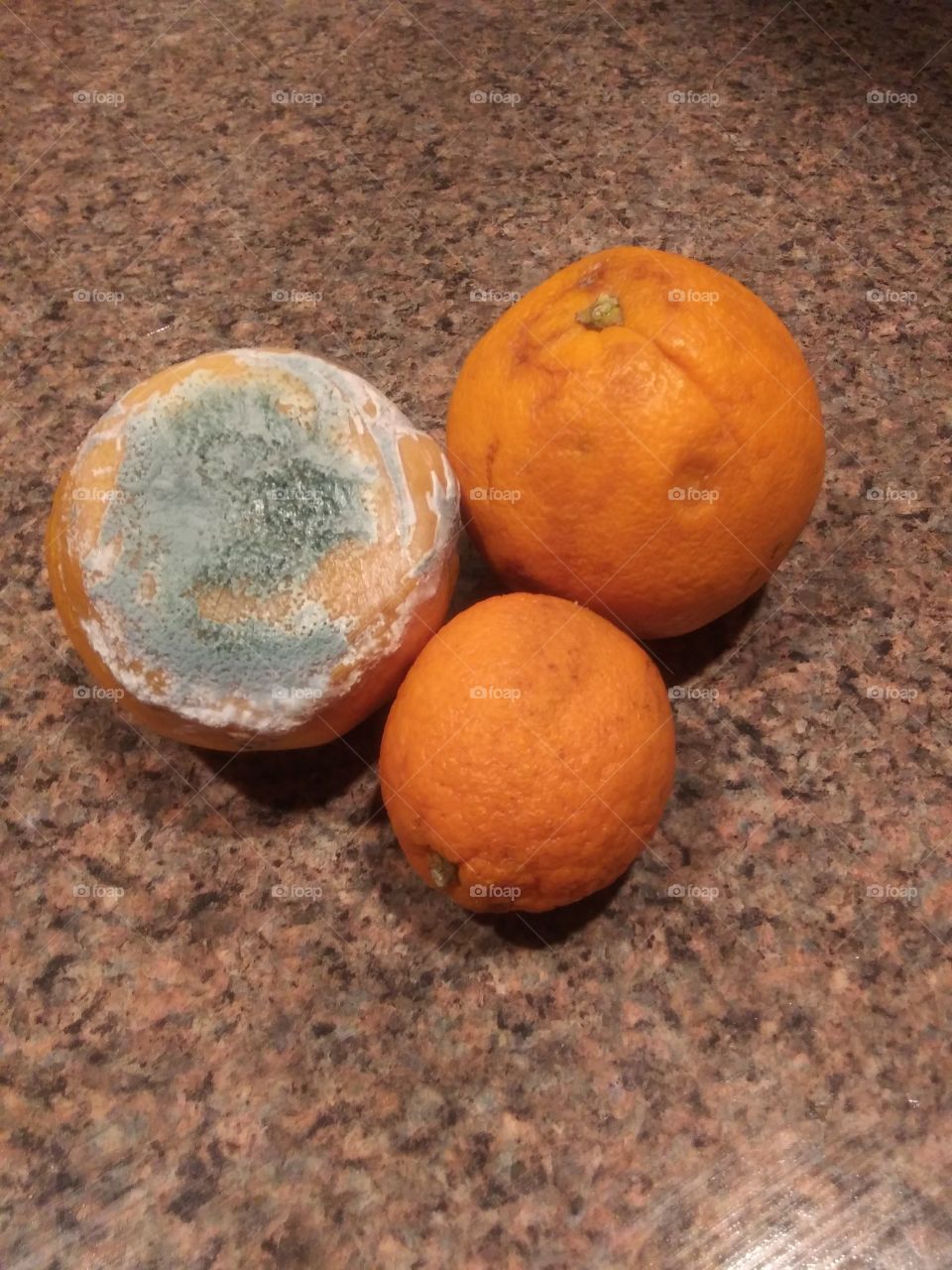 rotten and moldy oranges. this is what happens when u dont eat em quickly