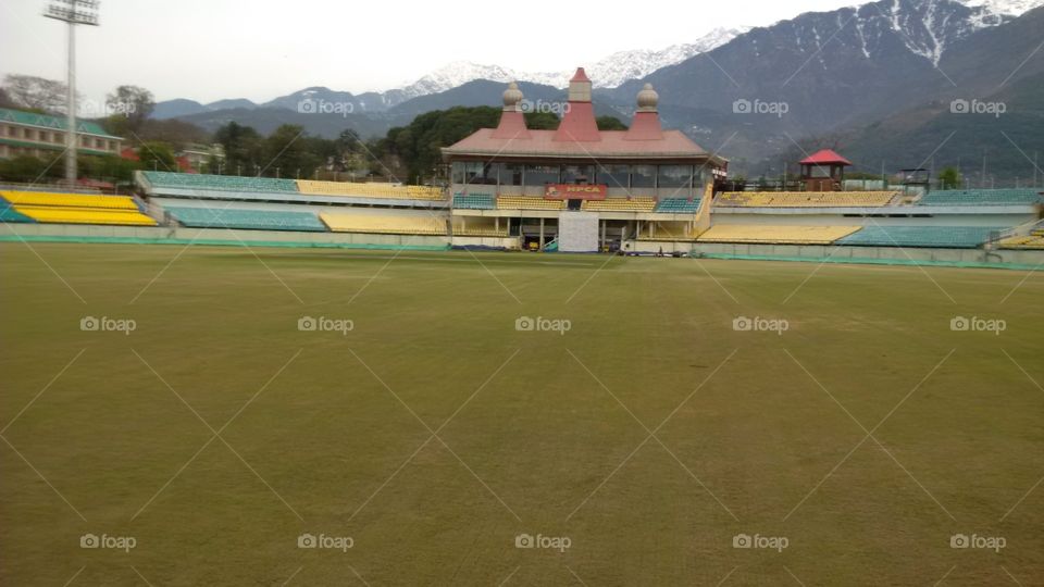 cricket stadium