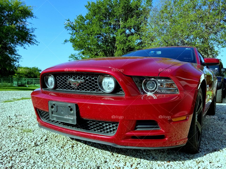 Red Ford Mustang