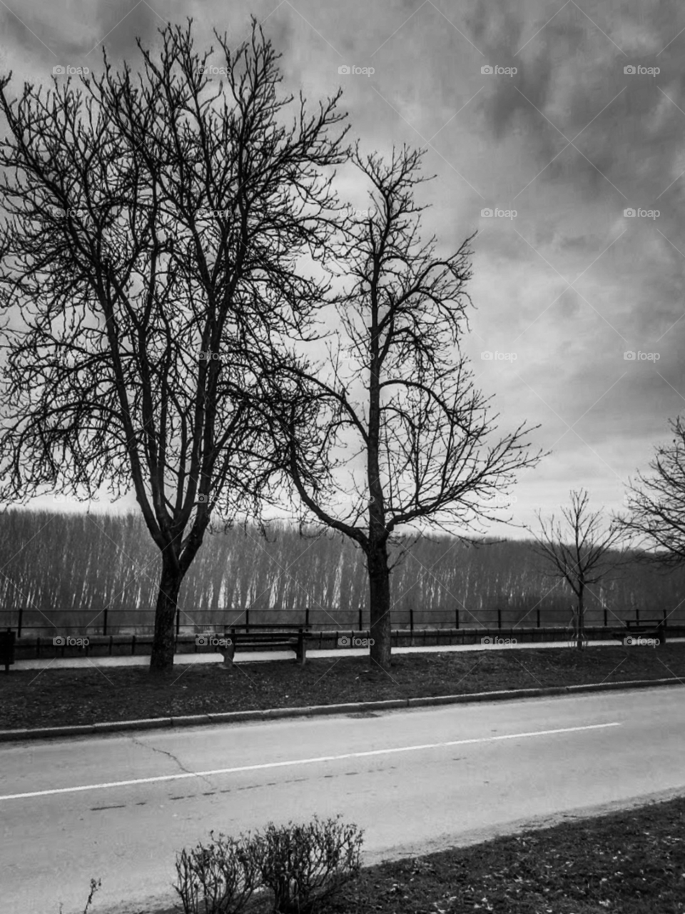 black and white vs colors