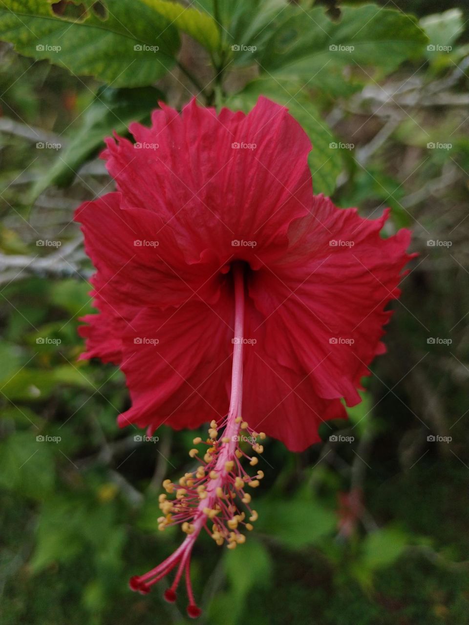 Capture of power of colour