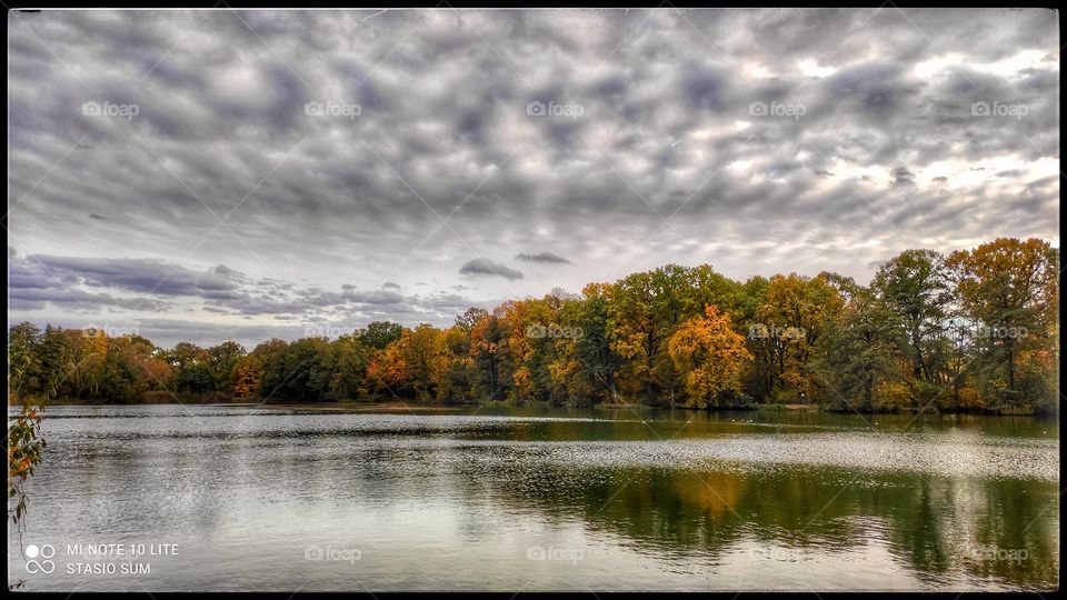 Polish golden autumn
