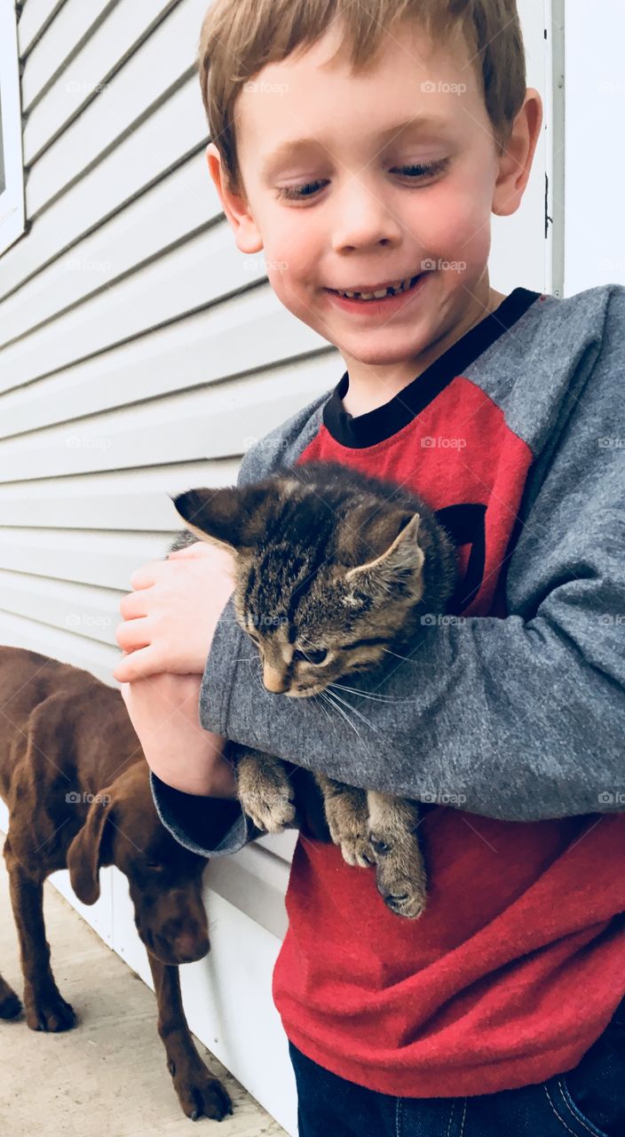 Taking a new kitten home 