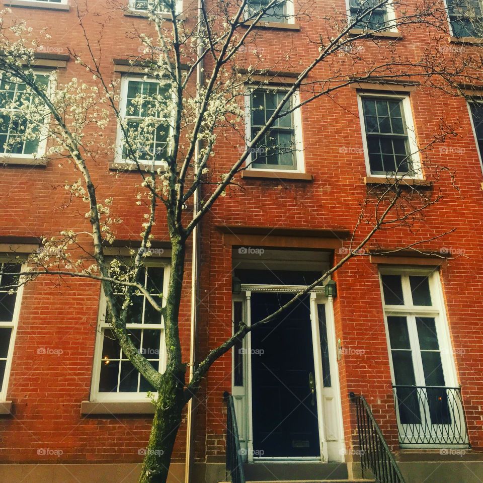 Signs of Spring!
West Village, New York 