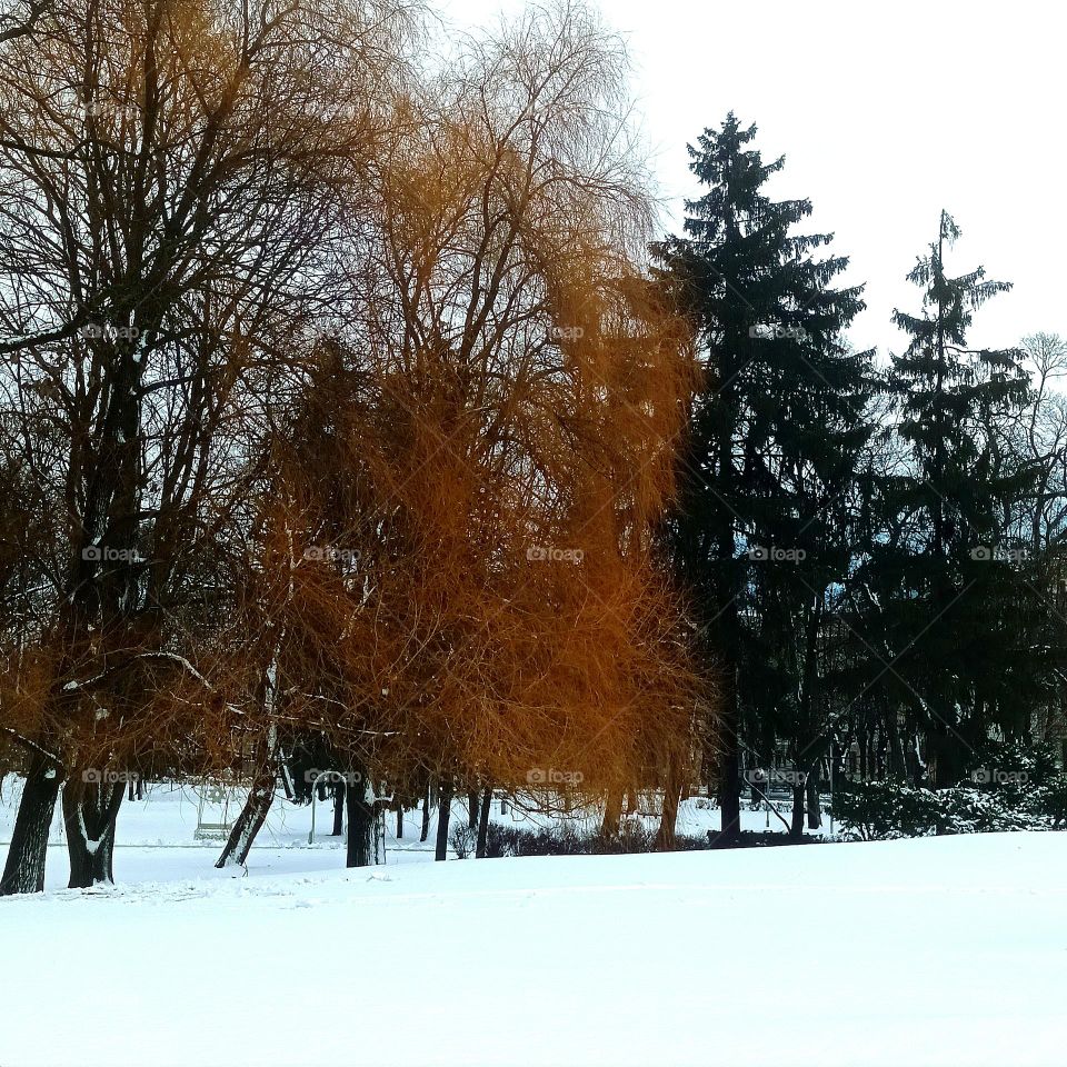 Fall and winter