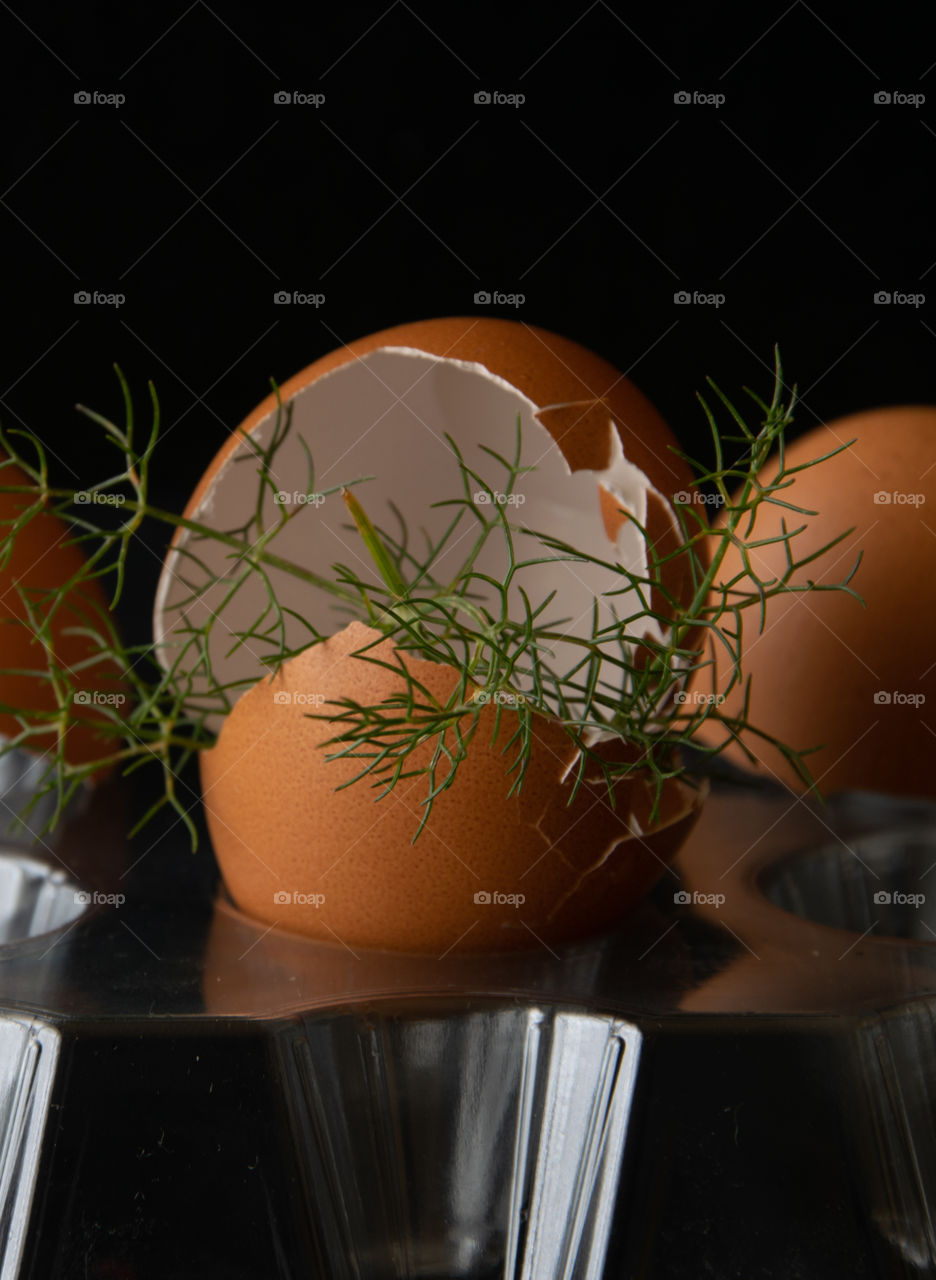 Open eggs from which spikes appear when opened