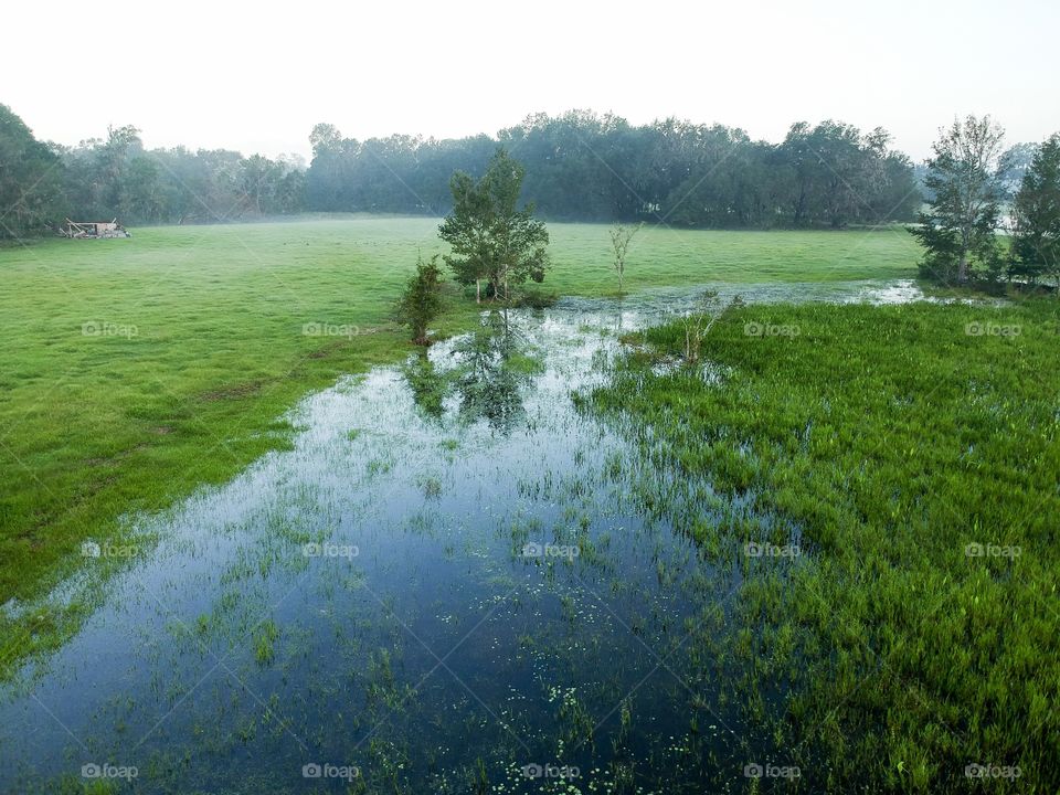 Flooded pasture 