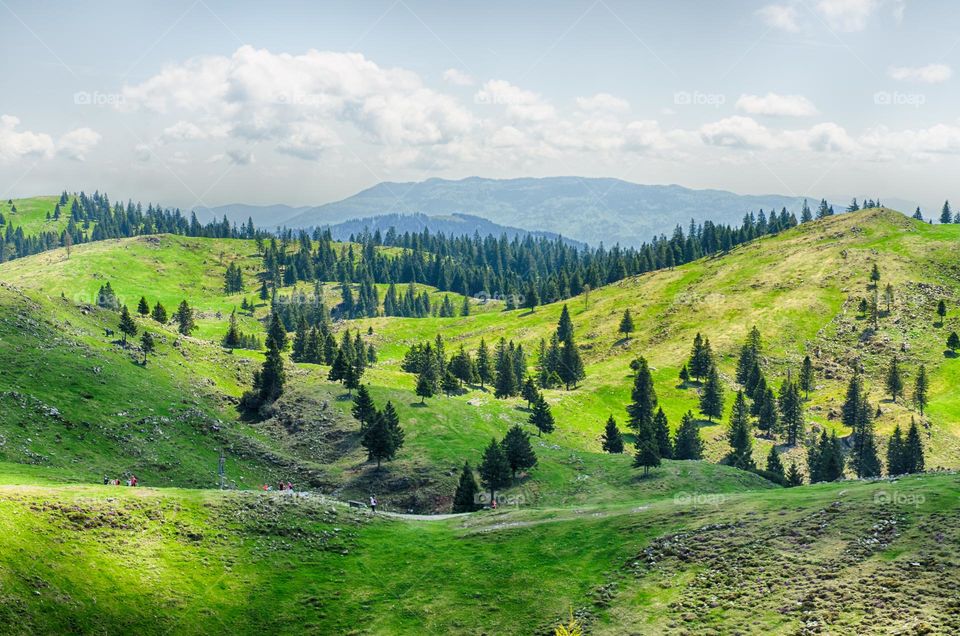 Scenic view of the alpine village in Alps mountains, green forest and blue sky. Slovenia.