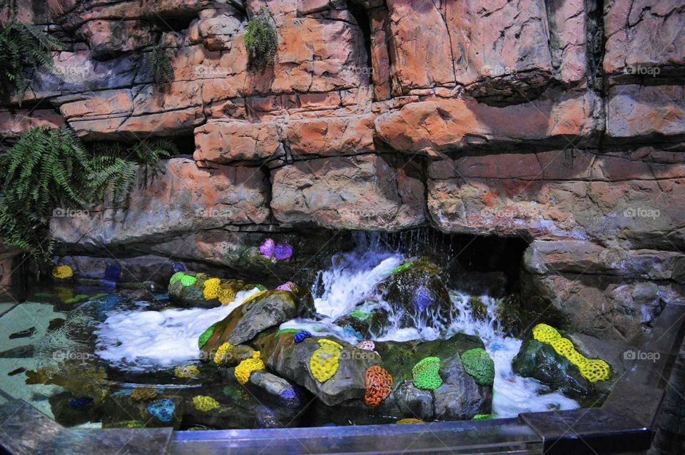 Coral reef in the Aquarium in Birmingham, UK