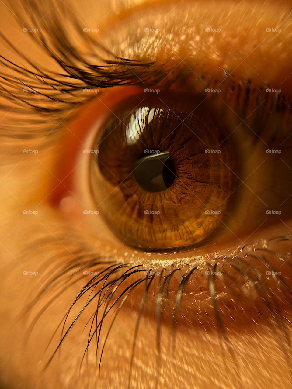 Close up of human eye