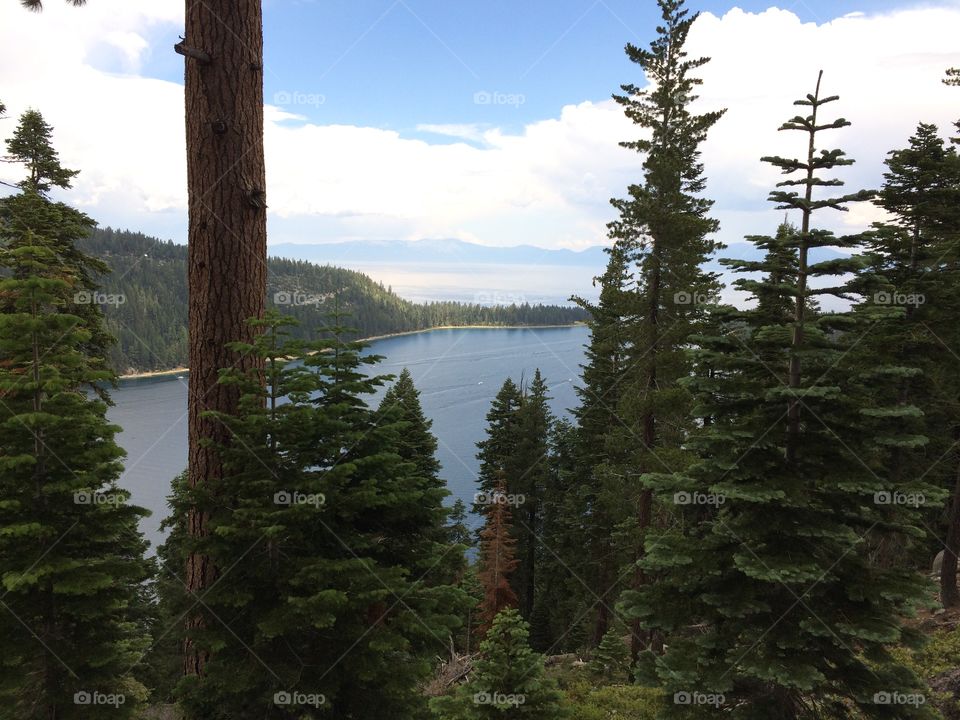 View of a lake from the hill