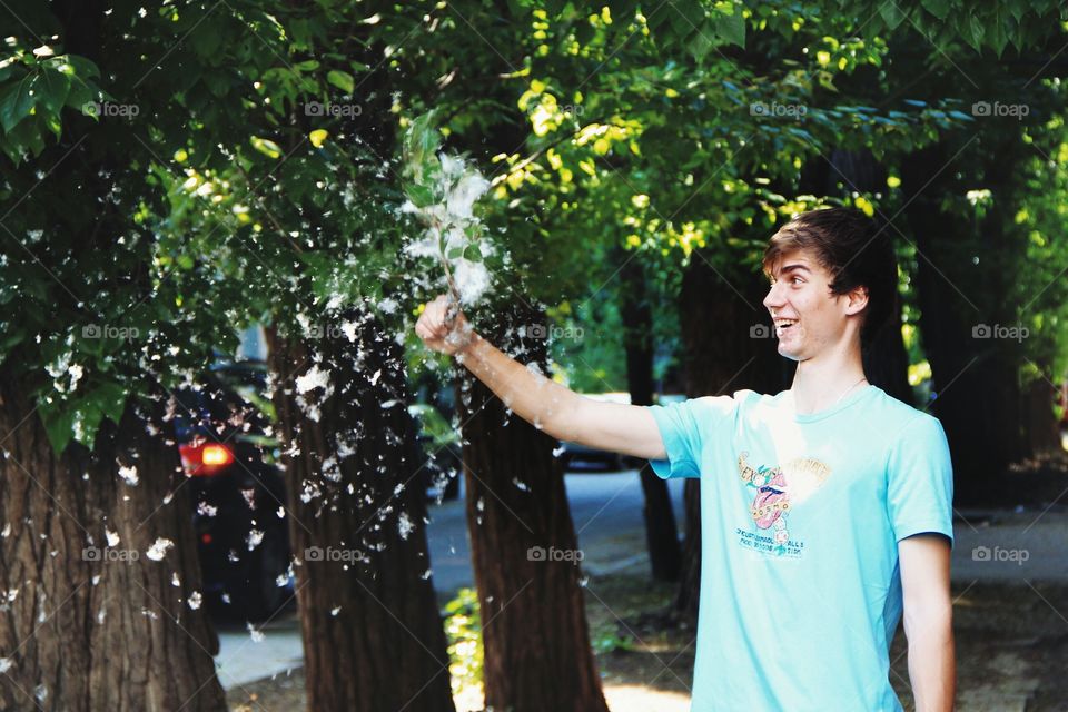 Boy is holding branch of poplar. Poplar fluff