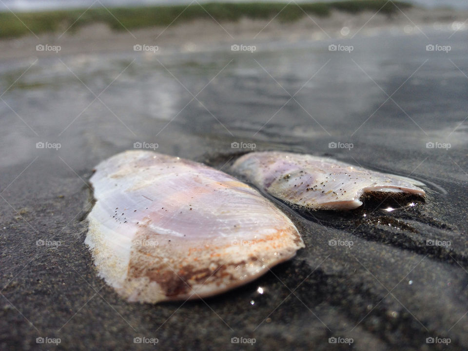 beach colors water sand by thepreissisright