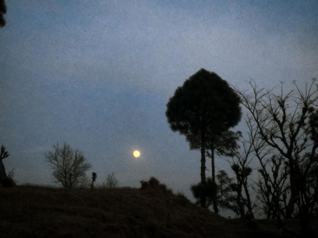 moon in the evening.