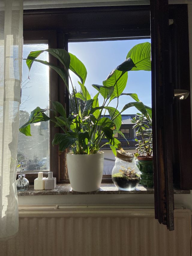 Enjoying the sun