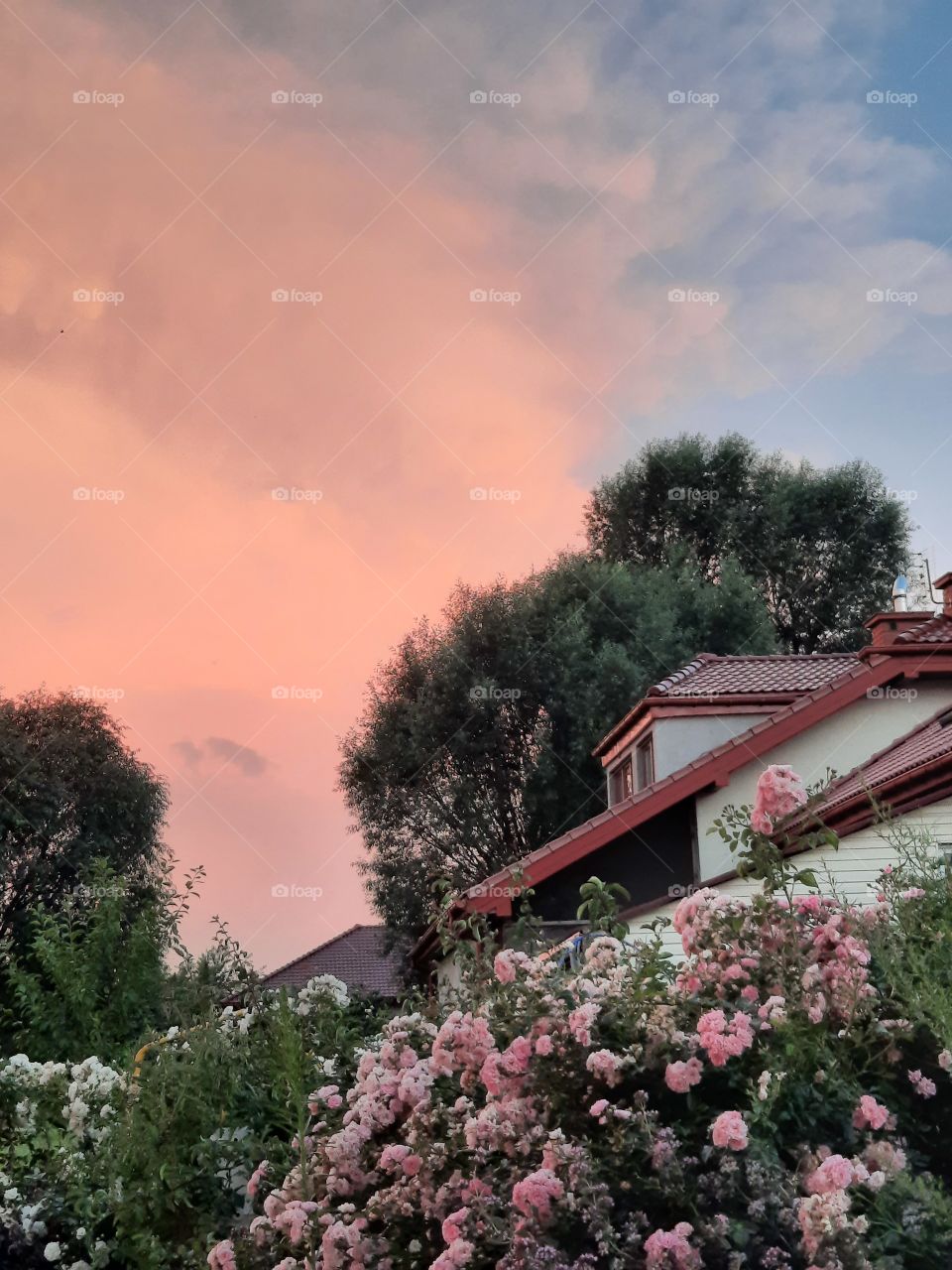 sunset coloured clouds in mid summer