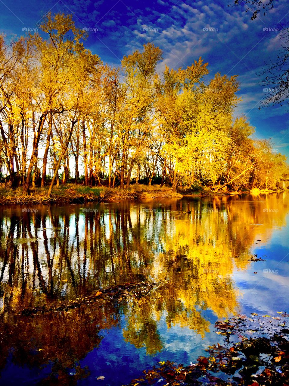 Fall reflections 