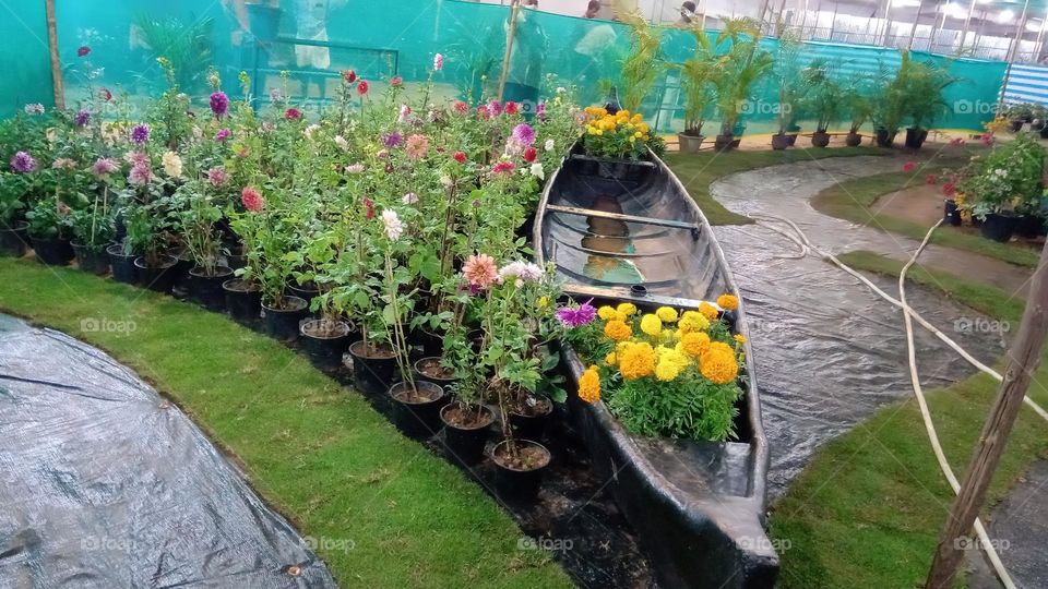Boat with garden 🌲