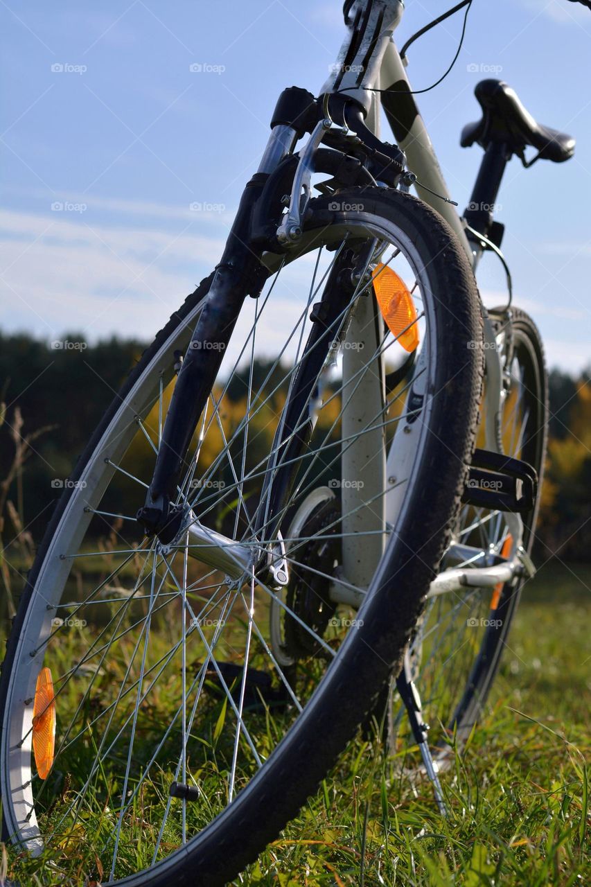 bike on a lake shore beautiful nature landscape