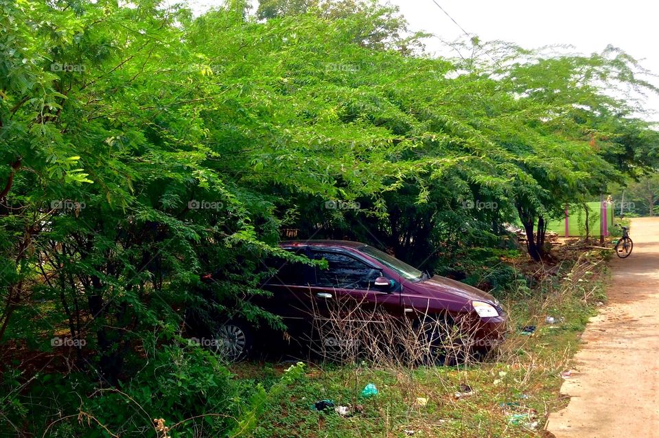 car parking in a forest 