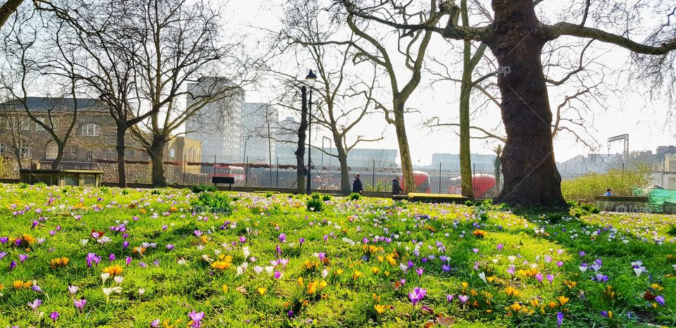 Around park during spring.