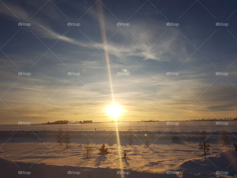 Northern Alberta Winter Morning