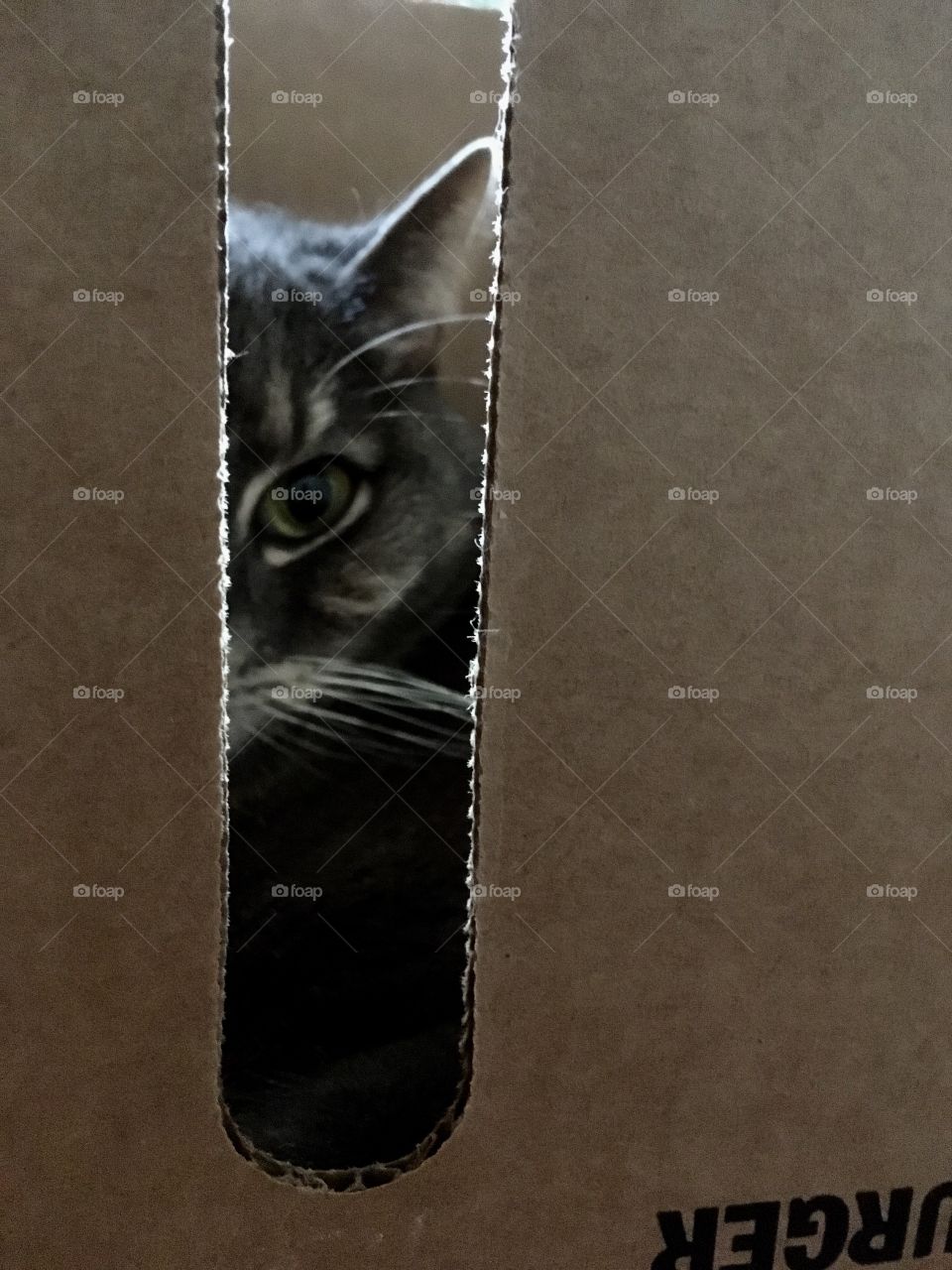 My box, my kingdom!
