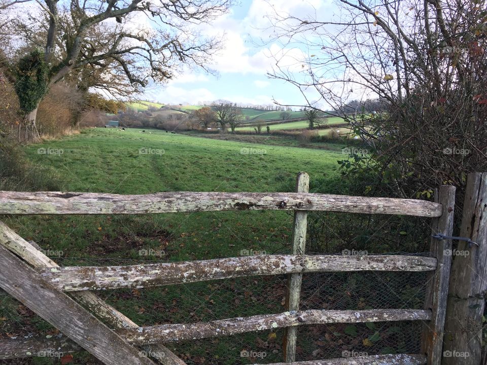 The heart of Devon countryside, with a lovely hand made gate thrown in to add to the splendour.