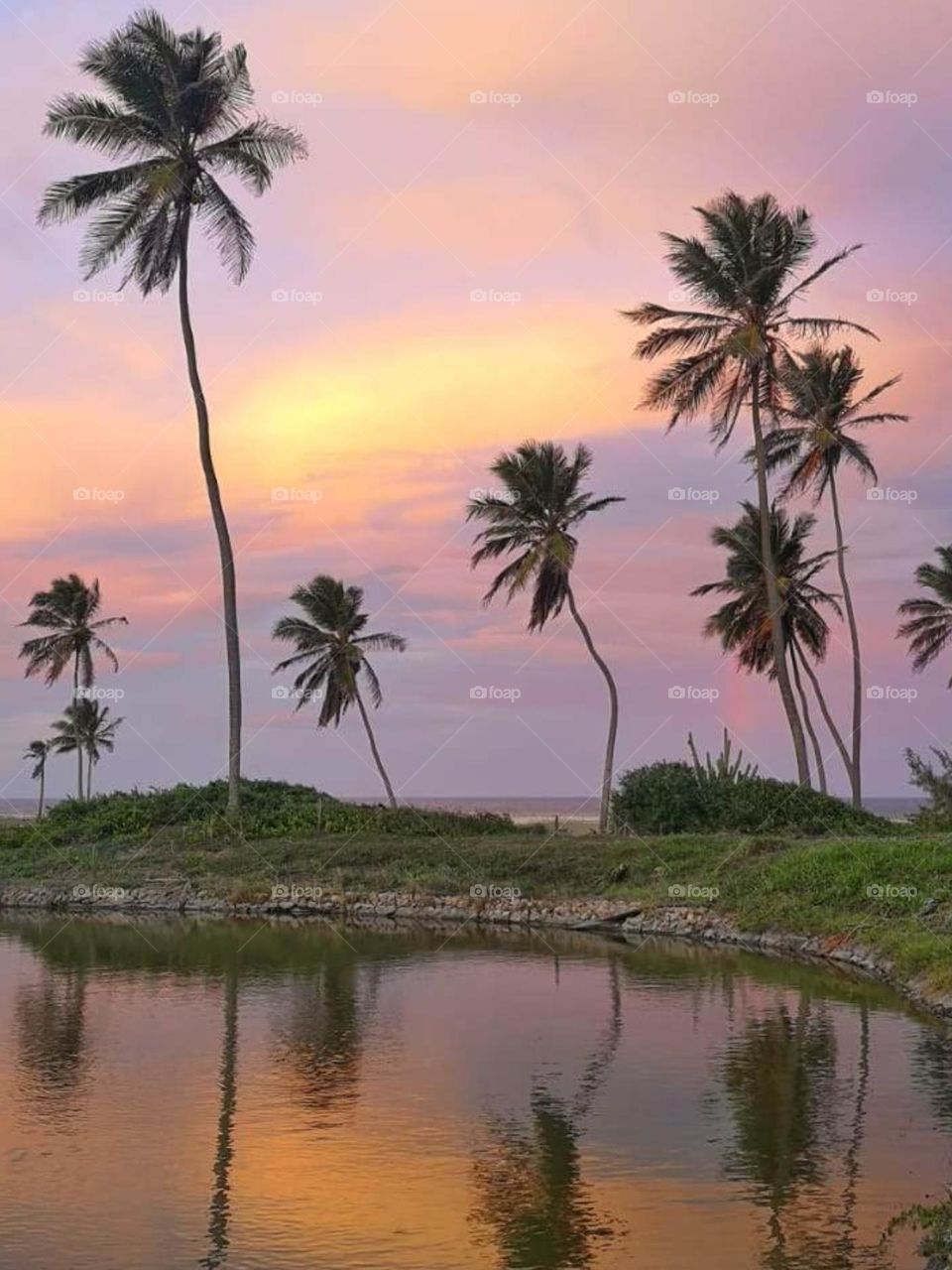 Sunset on a brasilian beach