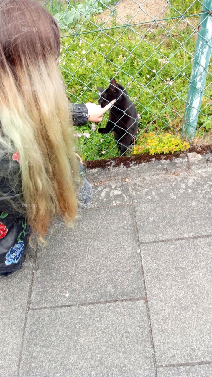 Woman petting a cat through a fence.