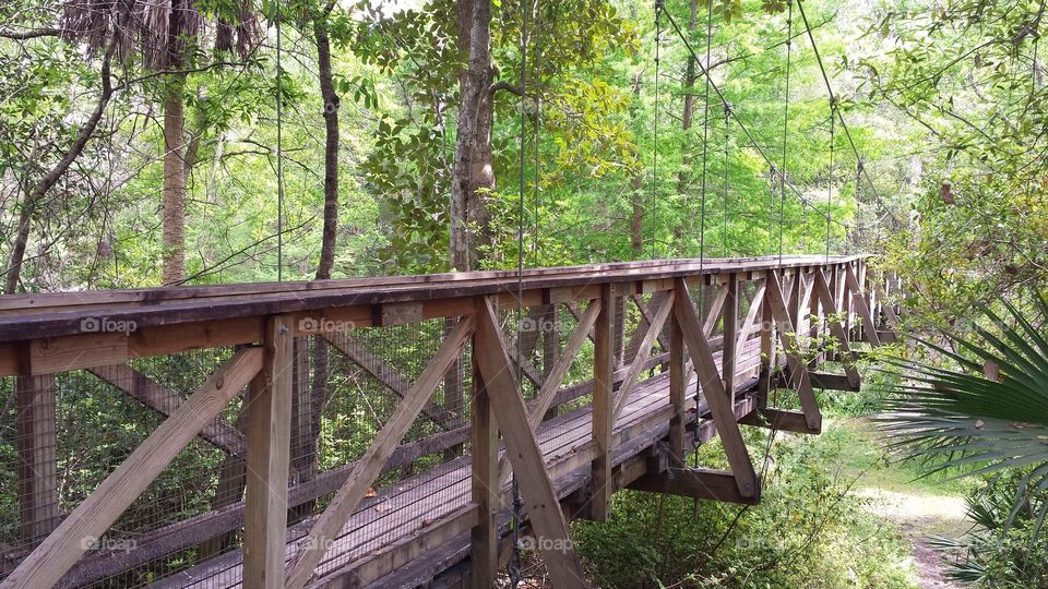 Sky Bridge