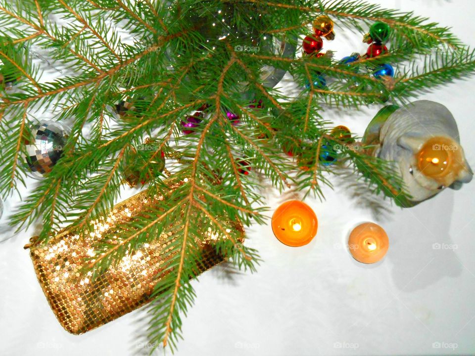 Christmas, Winter, Fir, Celebration, Decoration