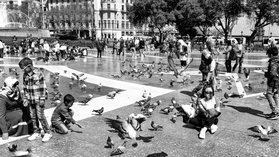 people and pigeons in Barcelona - black and white