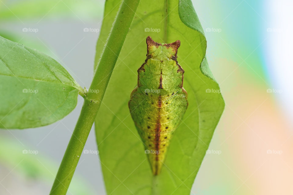 Summer’s new beginnings 