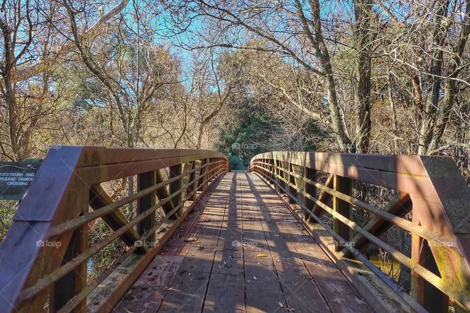 Wood, Tree, Landscape, Bridge, No Person