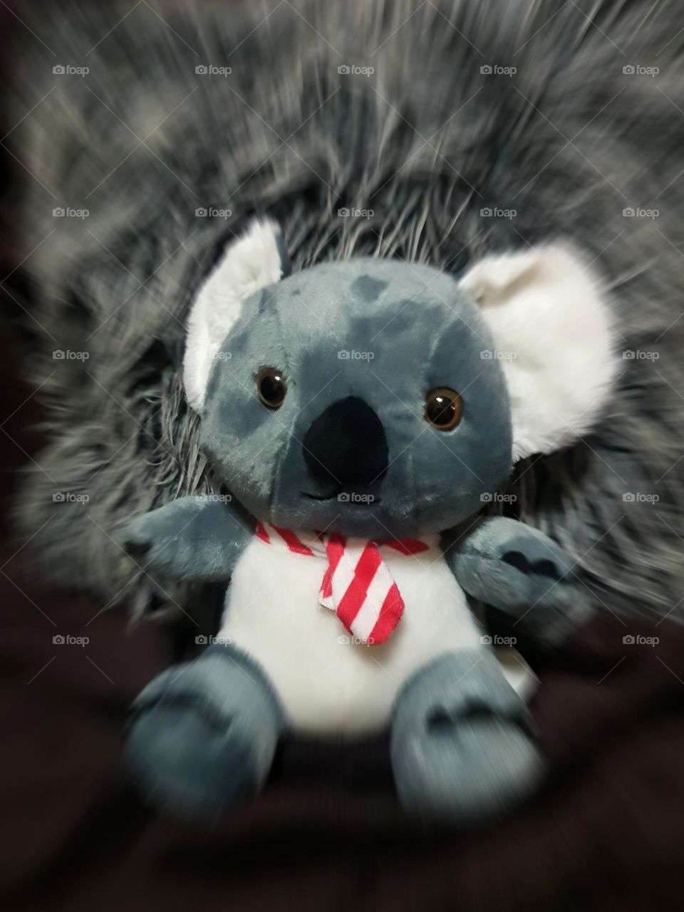 Koala Teddy